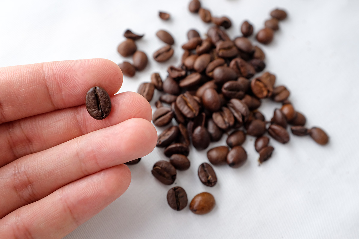 ご来店/豆の確認